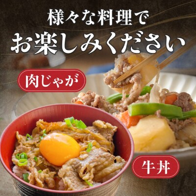 【訳あり】A4等級以上 宮崎牛切り落とし500g×2P 計1kg(小林市)