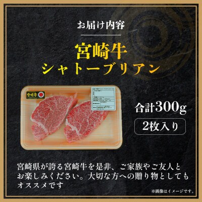 【A4等級以上】宮崎牛シャトーブリアン2枚 計300g(小林市)