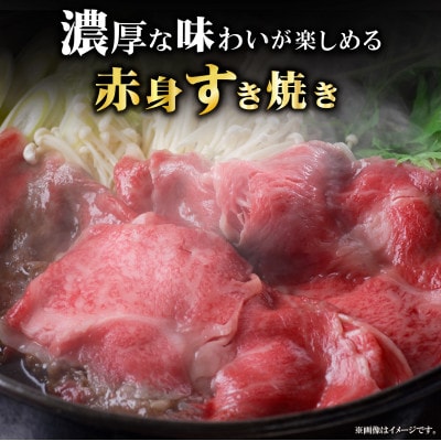 【A4等級以上】宮崎牛赤身スライス 500g×2P 計1kg(E256)(小林市)