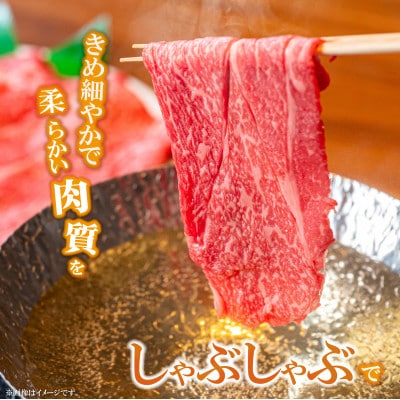 【A4等級以上】宮崎牛赤身スライス 500g×2P 計1kg(E256)(小林市)