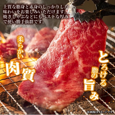【A4等級以上】宮崎牛ロース焼肉用スライス 400g(E262)(小林市)