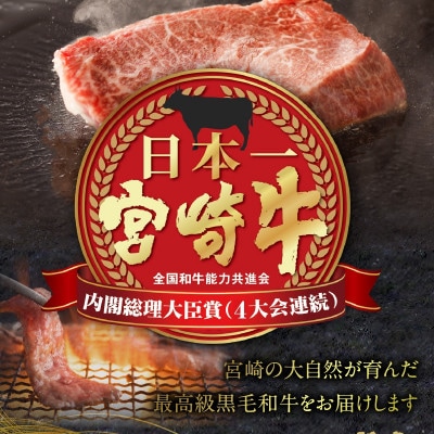 【和牛オリンピック4連覇】宮崎牛ミスジステーキ　600g(小林市)