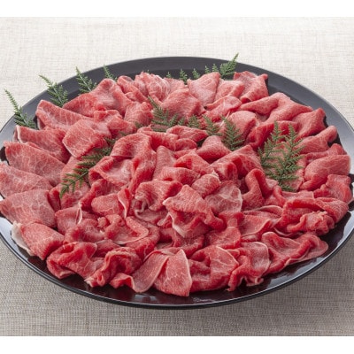【和牛オリンピック4連覇】宮崎牛切落し　500g(小林市)