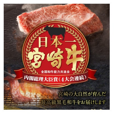 【和牛オリンピック4連覇中】宮崎牛ヒレステーキ 計600g(小林市)