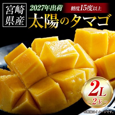 【ギフト・贈答】南国宮崎県からお届け　太陽のタマゴ2L×2個(小林市)