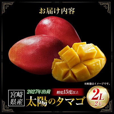 【ギフト・贈答】南国宮崎県からお届け　太陽のタマゴ2L×2個(小林市)