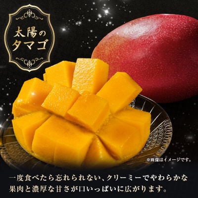 「1玉お試し」南国宮崎県産　太陽のタマゴ2L×1個