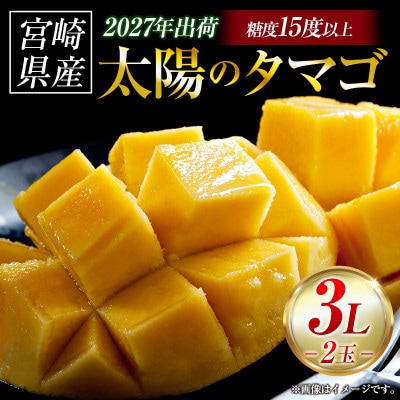 【ギフト・贈答】南国宮崎県からお届け　太陽のタマゴ3L×2個(小林市)