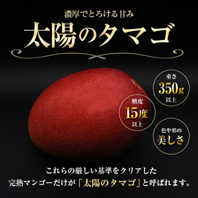 南国宮崎県からお届け　太陽のタマゴ3L×2個(小林市)