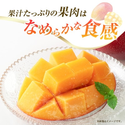 南国宮崎からお届け　完熟マンゴー3L×2個(小林市)