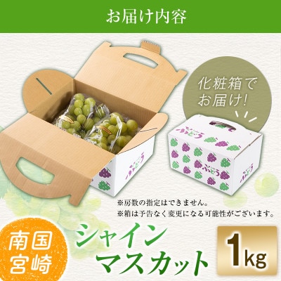 「豊かな自然が育む」小林市産シャインマスカット1kg(小林市)