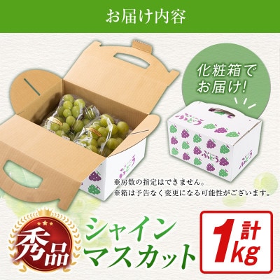 【ギフト・贈答】豊かな自然が育む 小林市産シャインマスカット1kg(小林市)
