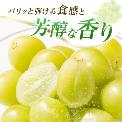 「豊かな自然が育む」小林市産シャインマスカット2kg(小林市)