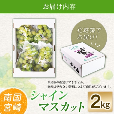 「豊かな自然が育む」小林市産シャインマスカット2kg(小林市)