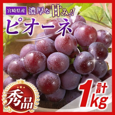 【ギフト・贈答】豊かな自然が育む　小林市産ピオーネ 1kg(小林市)
