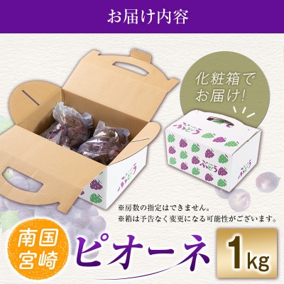 「豊かな自然が育む」小林市産ピオーネ 1kg(小林市)