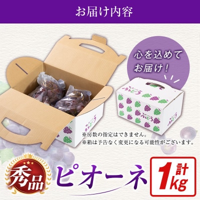 【2027年発送】【ギフト・贈答】ピオーネ 1kg(2房～3房)(小林市)