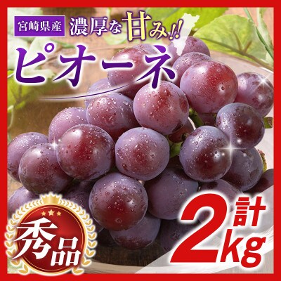 【ギフト・贈答】豊かな自然が育む 小林市産ピオーネ 2kg(小林市)