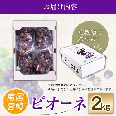 「豊かな自然が育む」小林市産ピオーネ 2kg(小林市)