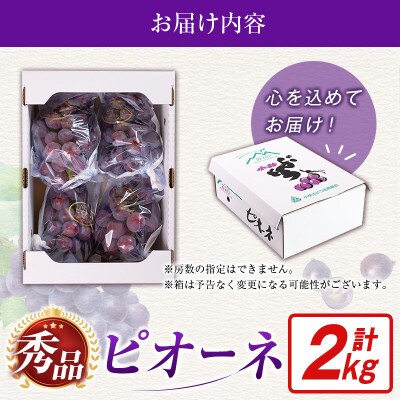【2027年発送】【ギフト・贈答】ピオーネ 2kg(3房～6房)(小林市)