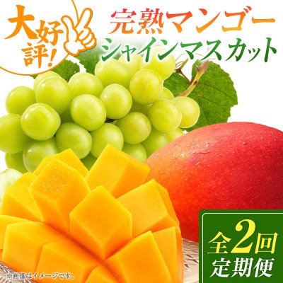 【発送月固定定期便】宮崎県の旬をお届け 完熟マンゴー・シャインマスカット(小林市)全2回