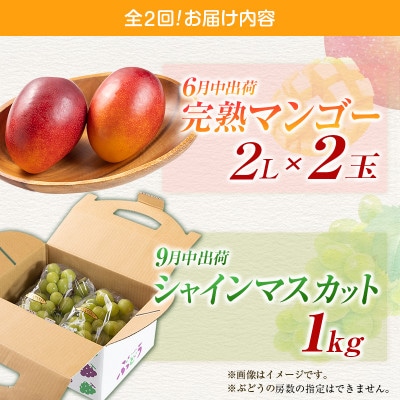 【発送月固定定期便】宮崎県の旬をお届け 完熟マンゴー・シャインマスカット(小林市)全2回