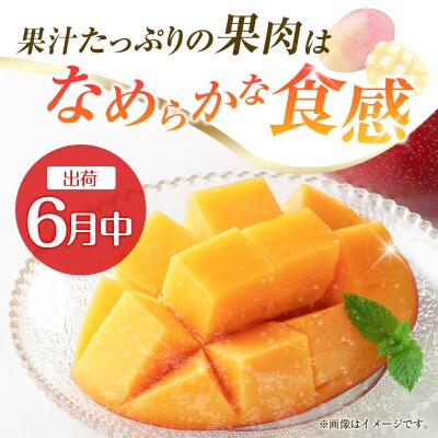 【発送月固定定期便】宮崎県の旬をお届け 完熟マンゴー・ピオーネ(小林市)全2回