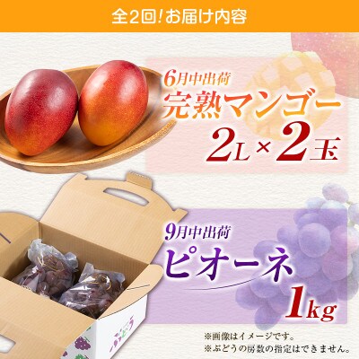 【発送月固定定期便】宮崎県の旬をお届け 完熟マンゴー・ピオーネ(小林市)全2回