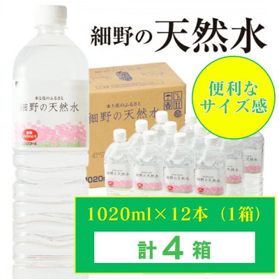 シリカ65mg/L 含有・霧島連山が育んだ細野の天然水1,020ml×12本×4箱【複数個口で配送】