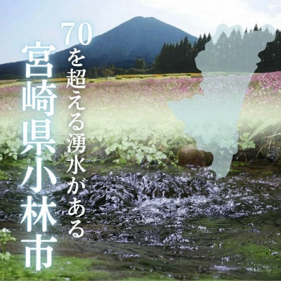 シリカ75mg/L ラベルレス霧島連山が育んだ細野の天然水555ml×24本 2箱【複数個口で配送】