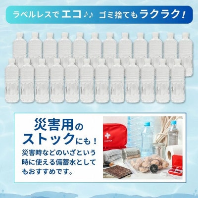 【毎月定期便】シリカ75mg/L ラベルレス霧島連山が育んだ細野の天然水 555ml×24本全12回