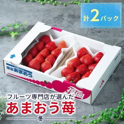 【11月下旬より順次発送】【春日】フルーツ専門店が選んだ「あまおう苺」冬2パック