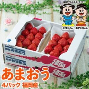 ひとめぼれ いちごのお礼品 返礼品一覧 ふるさと納税サイト さとふる