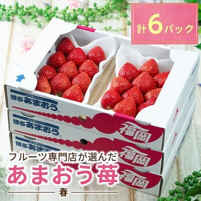 【春日】フルーツ専門店が選んだ「あまおう苺」春6パック