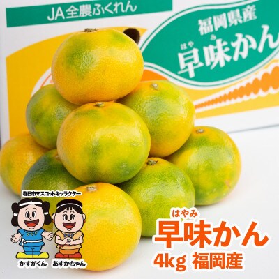 【春日】福岡限定!オリジナルブランドみかん「早味かん」約4kg