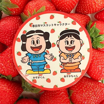 【おいしく地域応援PJ】【さとふる限定】「かすがくん&あすかちゃん」冬日和あまおう4パック