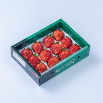 上級クラスの福岡産あまおう苺　EX(エクセレント)9-12粒(春日市)