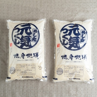【春日】定期便 果物屋さんが選んだ米「元気つくし」10kg全6回