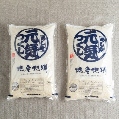 2021年6月発送開始『定期便』バナナ屋さんが選んだ米(元気つくし)5kg×2袋全6回