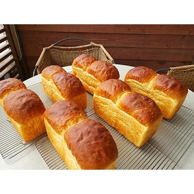甘麹食パン　6本