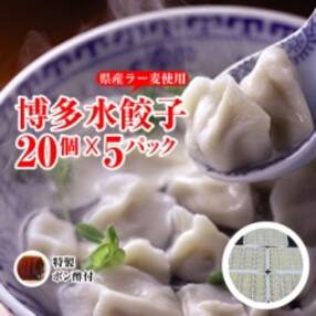 【肉汁ジュワーっと】もっちり博多水餃子【お湯ポチャ5分だけでOK】【100個計2kg】ラー麦の皮使用