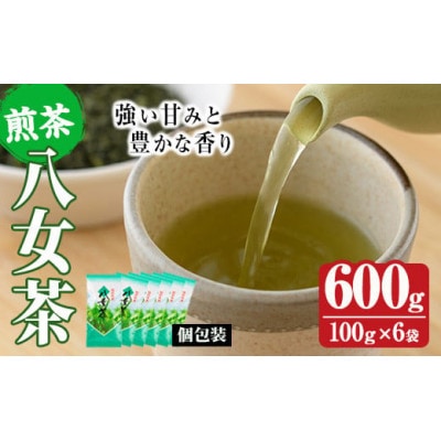 八女茶　6袋　(600g)セット