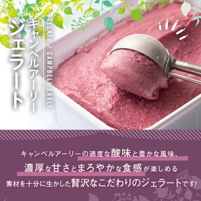【春日市】フルーツソムリエが作った濃厚『キャンベルアーリー』ジェラート