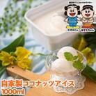 【春日市】フルーツソムリエが作った濃厚『優しいココナッツ』アイス