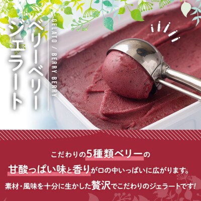 【春日市】フルーツソムリエが作った濃厚『ベリーベリー』ジェラート