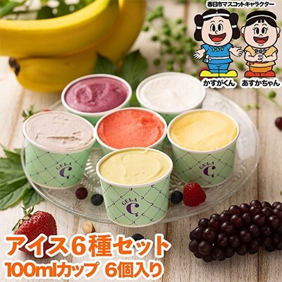【春日市】フルーツソムリエが作った濃厚『厳選6種フルーツミックスアイスセット』100ml×6個