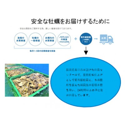 みるくがき2kg(25個前後)【殻付き・生食可】(春日市)