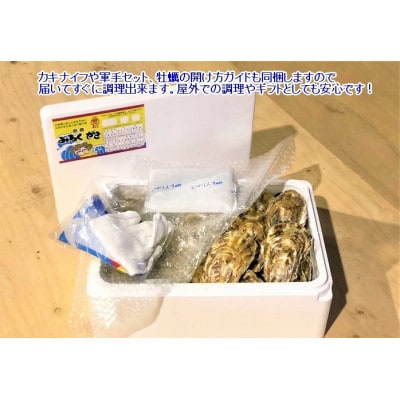 みるくがき5kg(65個前後)【殻付き・生食可】(春日市)