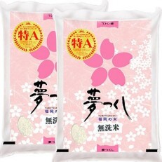 【令和4年産】福岡県産ブランド米「夢つくし」無洗米　計10kg(5kg×2袋)(春日市)