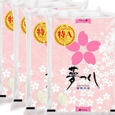 【令和4年産】福岡県産ブランド米「夢つくし」白米　計20kg(5kg×4袋)(春日市)
